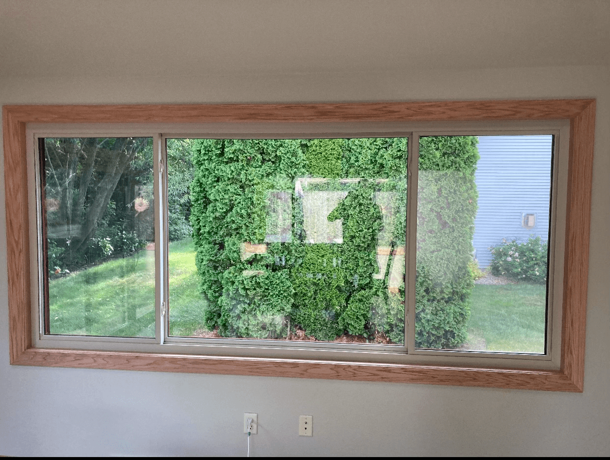 Provia Endure Windows in Mountain Berry - Oshkosh WI