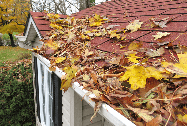 clean roof gutters